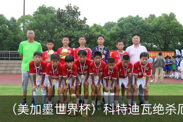 （美加墨世界杯）科特迪瓦绝杀厄瓜多尔 瑞典5:1大胜突尼斯