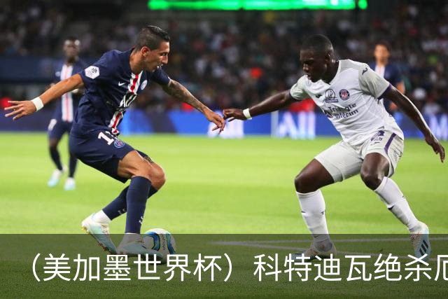 （美加墨世界杯）科特迪瓦绝杀厄瓜多尔 瑞典5:1大胜突尼斯